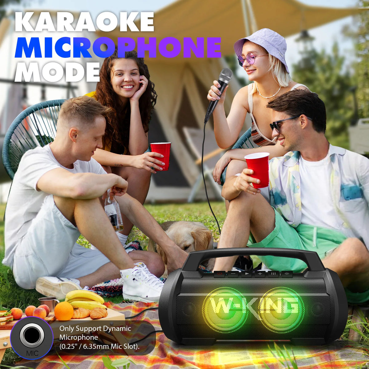 W-King D10MIC Portable Bluetooth Speaker With Wireless Microphone